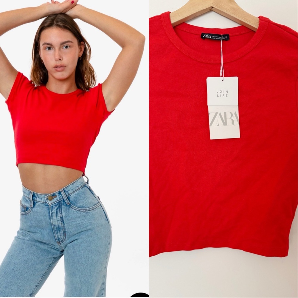 ZARA NWT crop t shirt